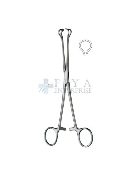 Babcock Forceps