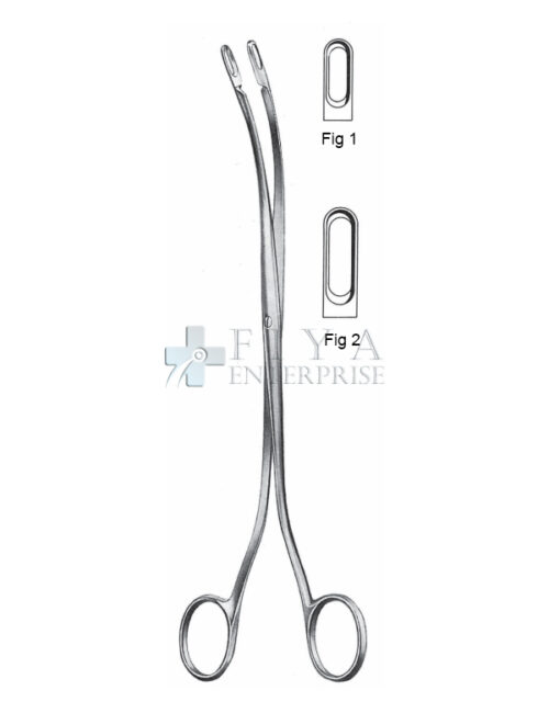 Desjardins Gall Stone Forceps